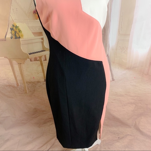 NEW WHBM Diagonal Colorblock Sheath Dress - Picture 6 of 11